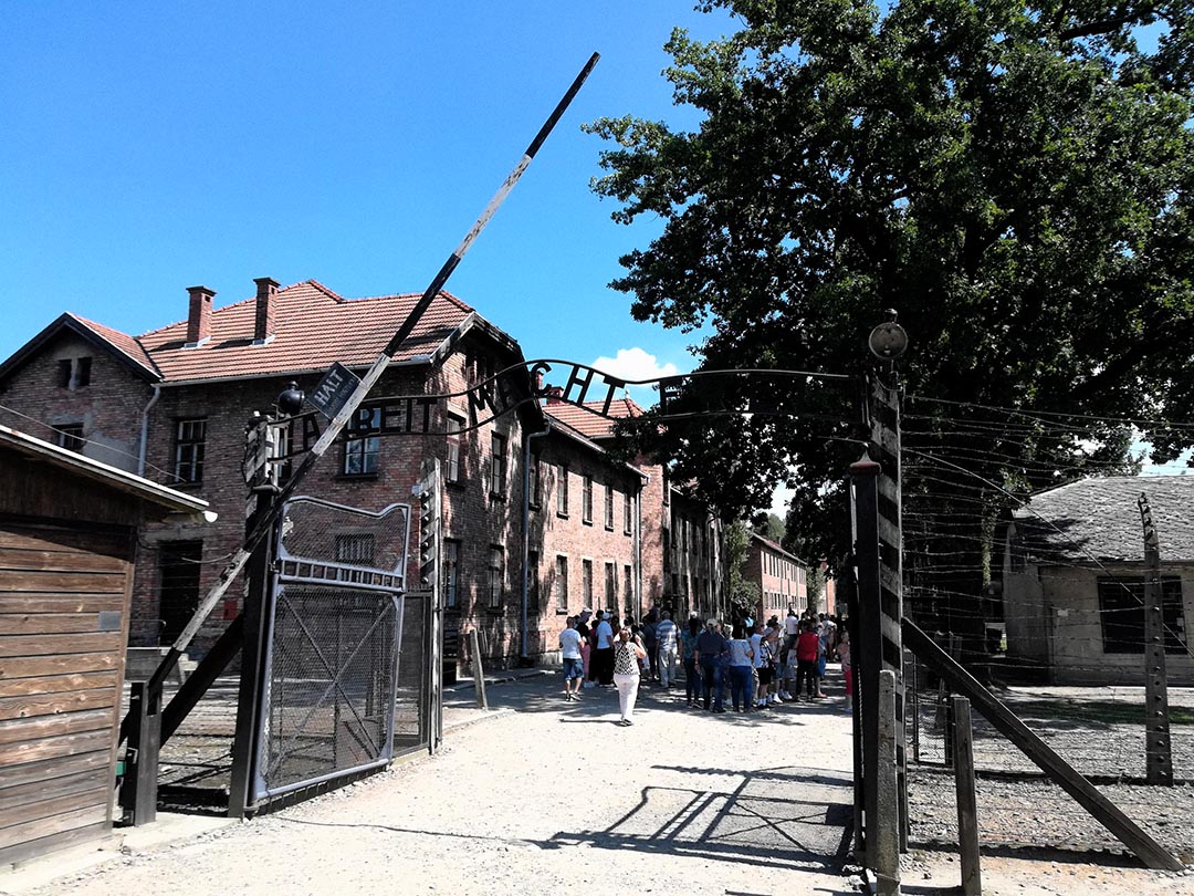 Auschwitz-Birkenau Memorial and Museum gallery image 2