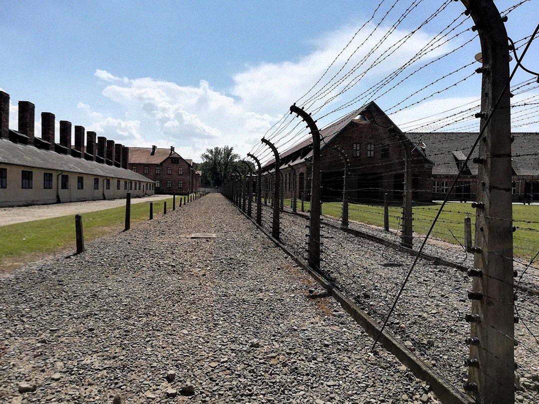 Auschwitz-Birkenau Memorial and Museum gallery image 4