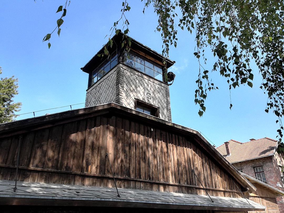 Auschwitz-Birkenau Memorial and Museum gallery image 5