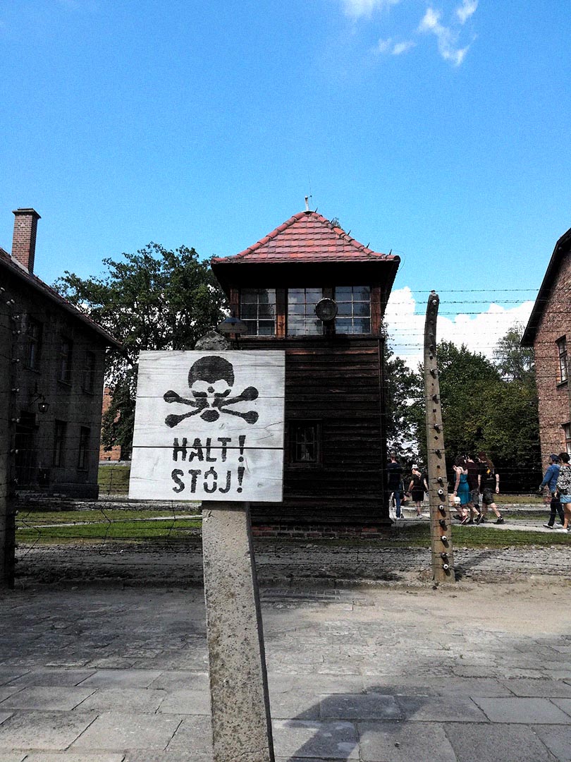 Auschwitz-Birkenau Memorial and Museum gallery image 8