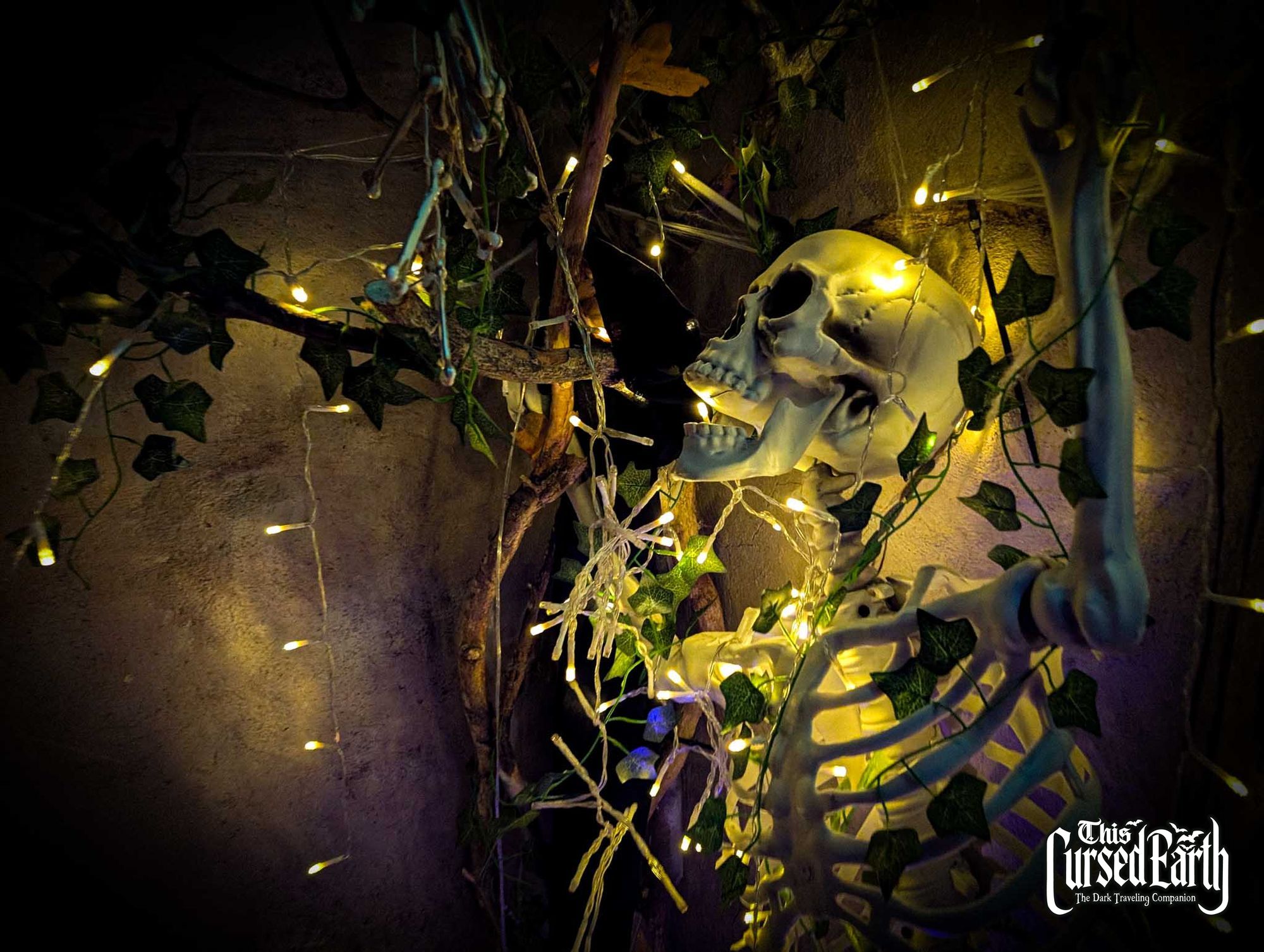 The Banshee Labyrinth gallery image 5