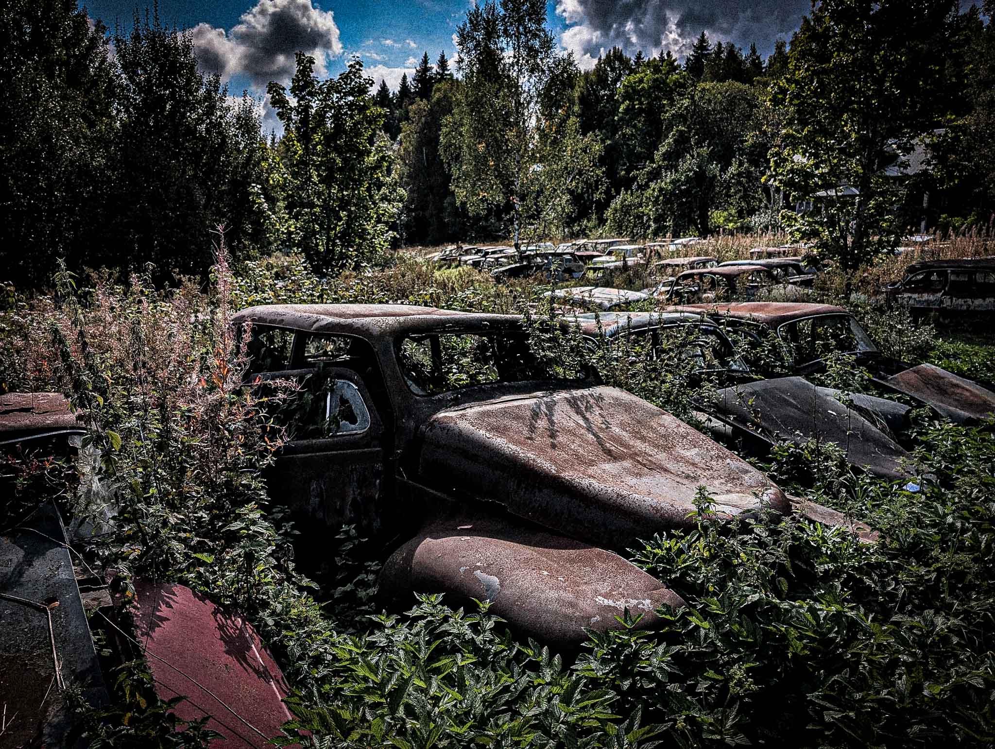 Båstnäs Car Cemetery gallery image 2