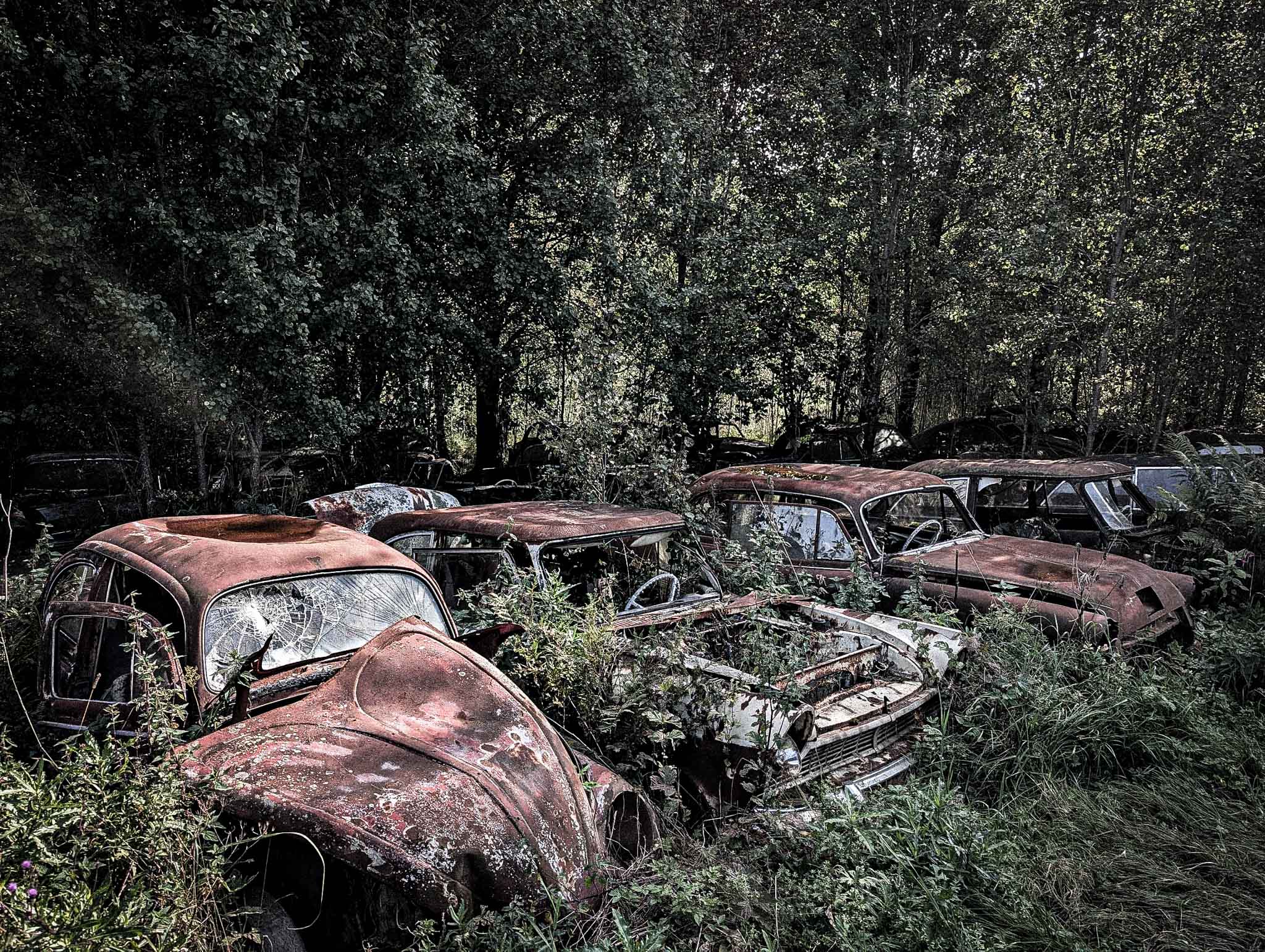 Båstnäs Car Cemetery gallery image 4