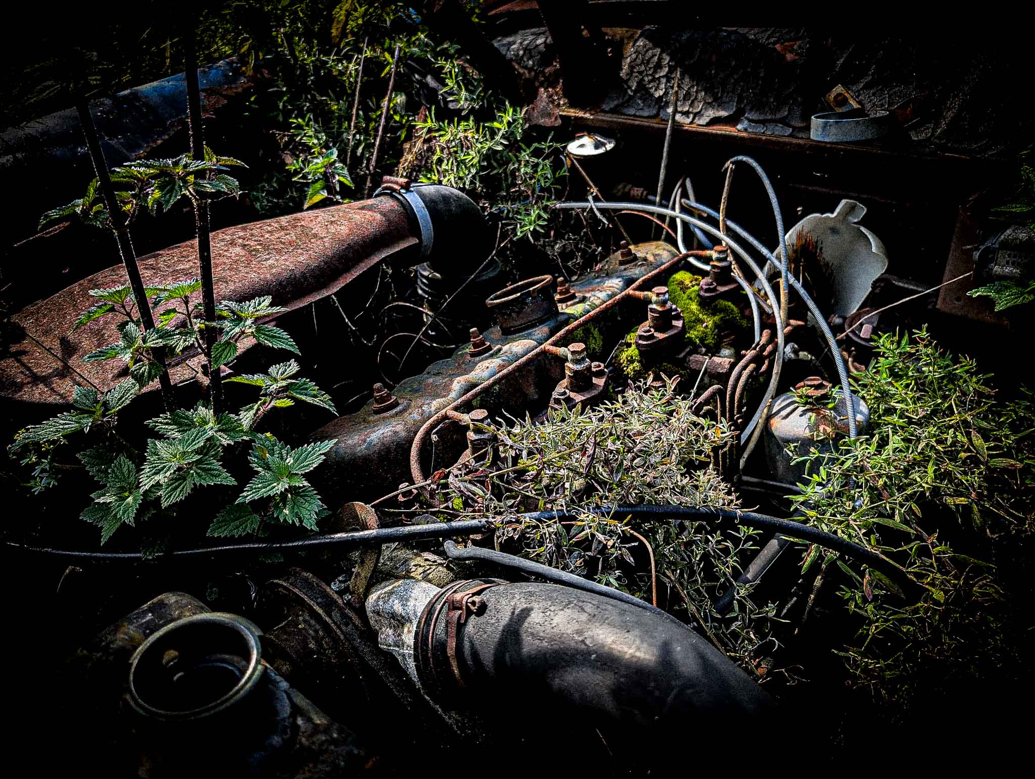 Båstnäs Car Cemetery gallery image 6