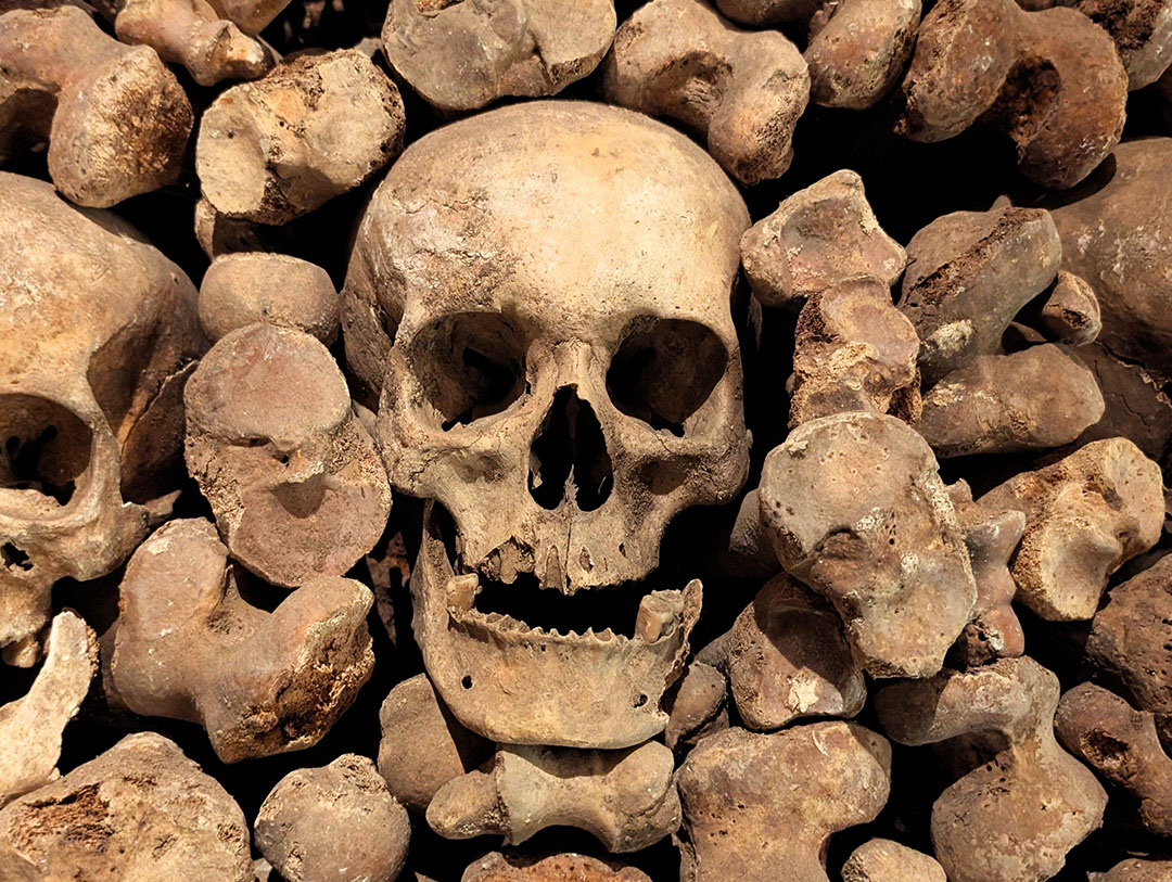 Brno Ossuary gallery image 5