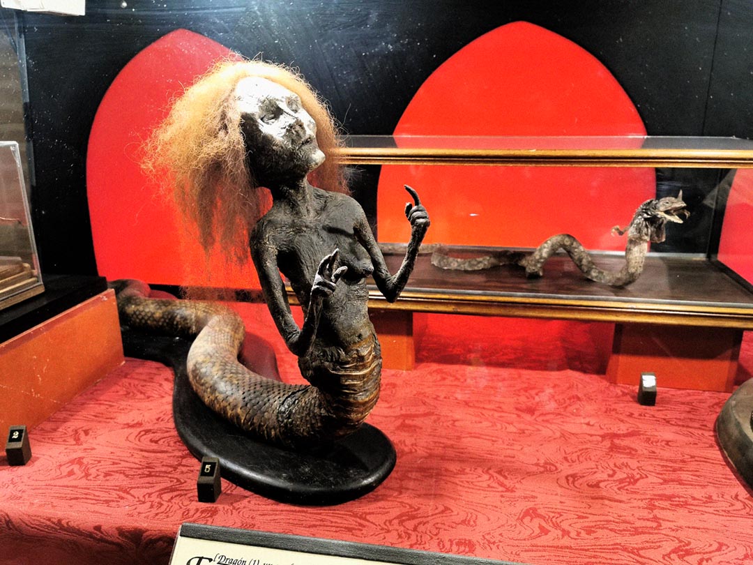 Exposición Brujería