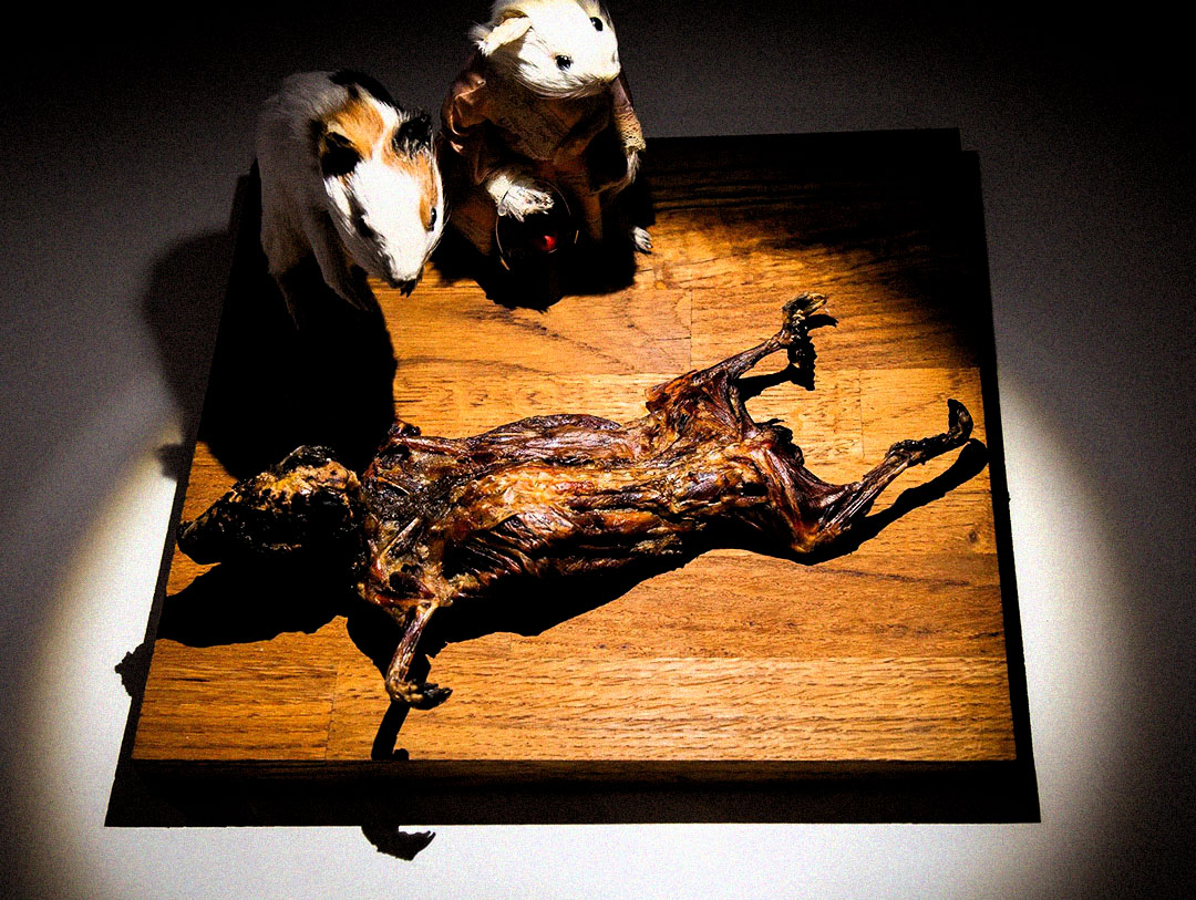 Disgusting Food Museum