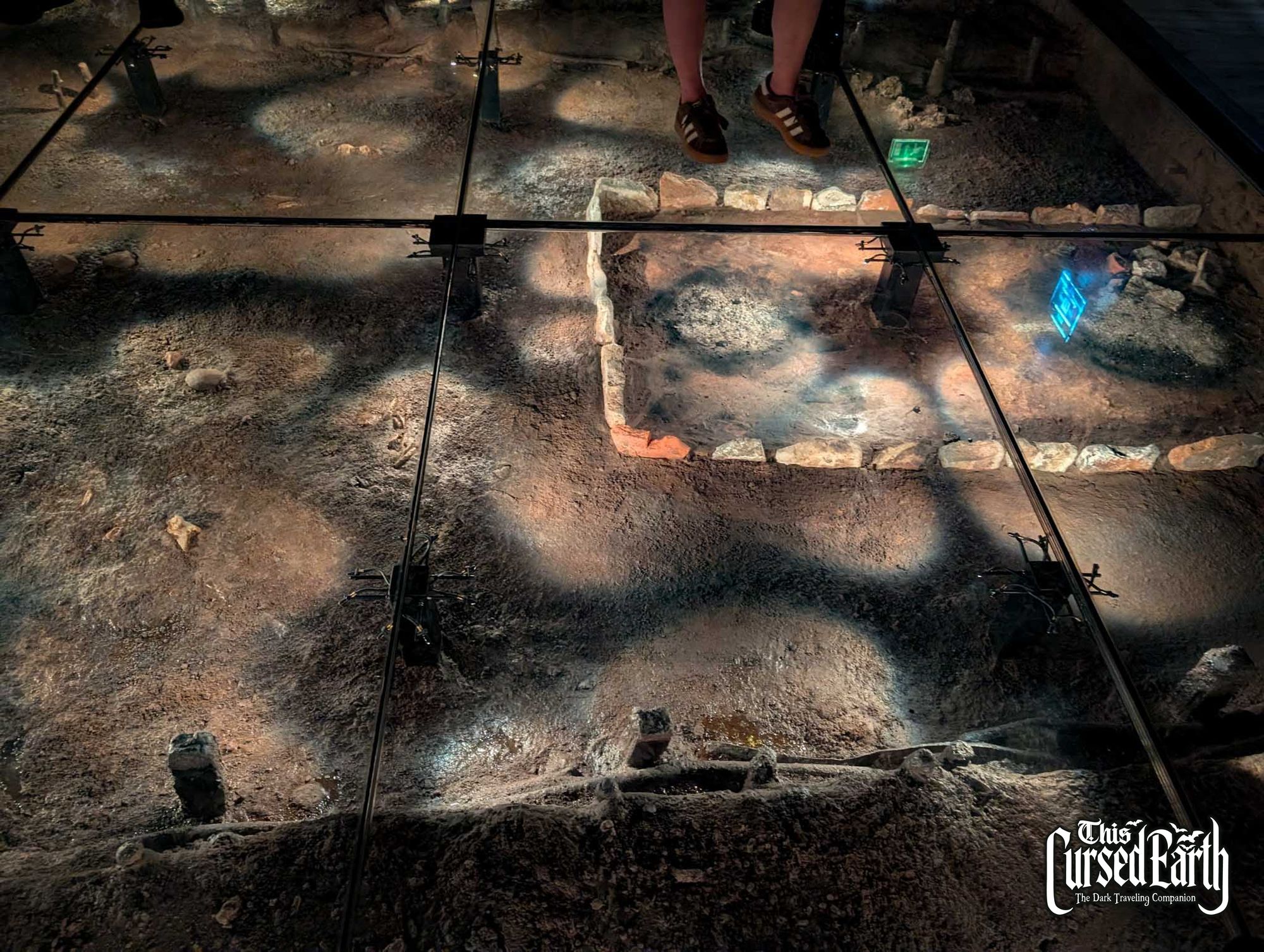Jorvik Viking Centre gallery image 4