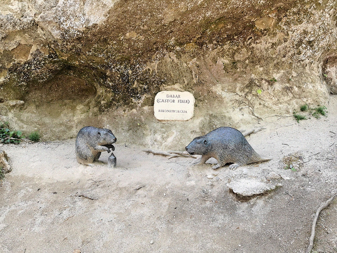 Krapina Neanderthal Museum gallery image 2