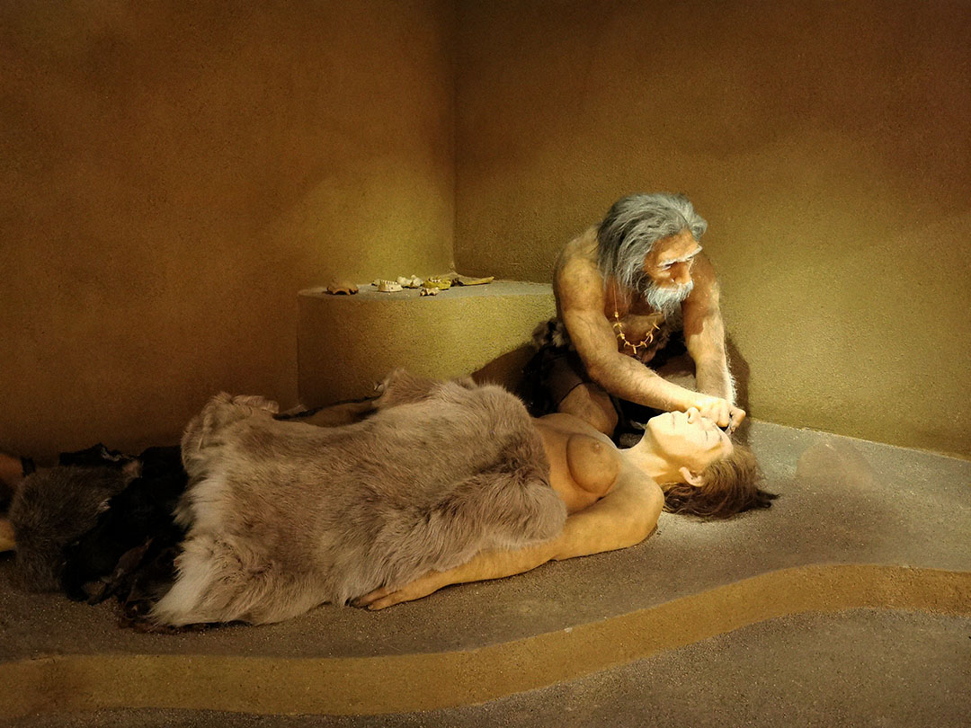 Krapina Neanderthal Museum gallery image 5