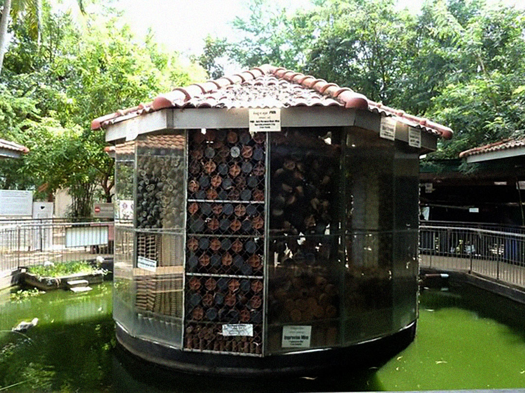 Cambodia Landmine Museum