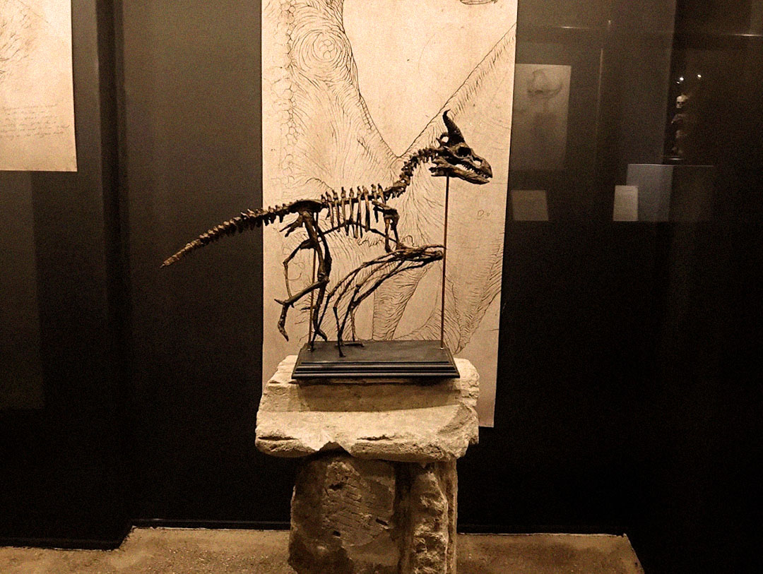 Museum Obscurum