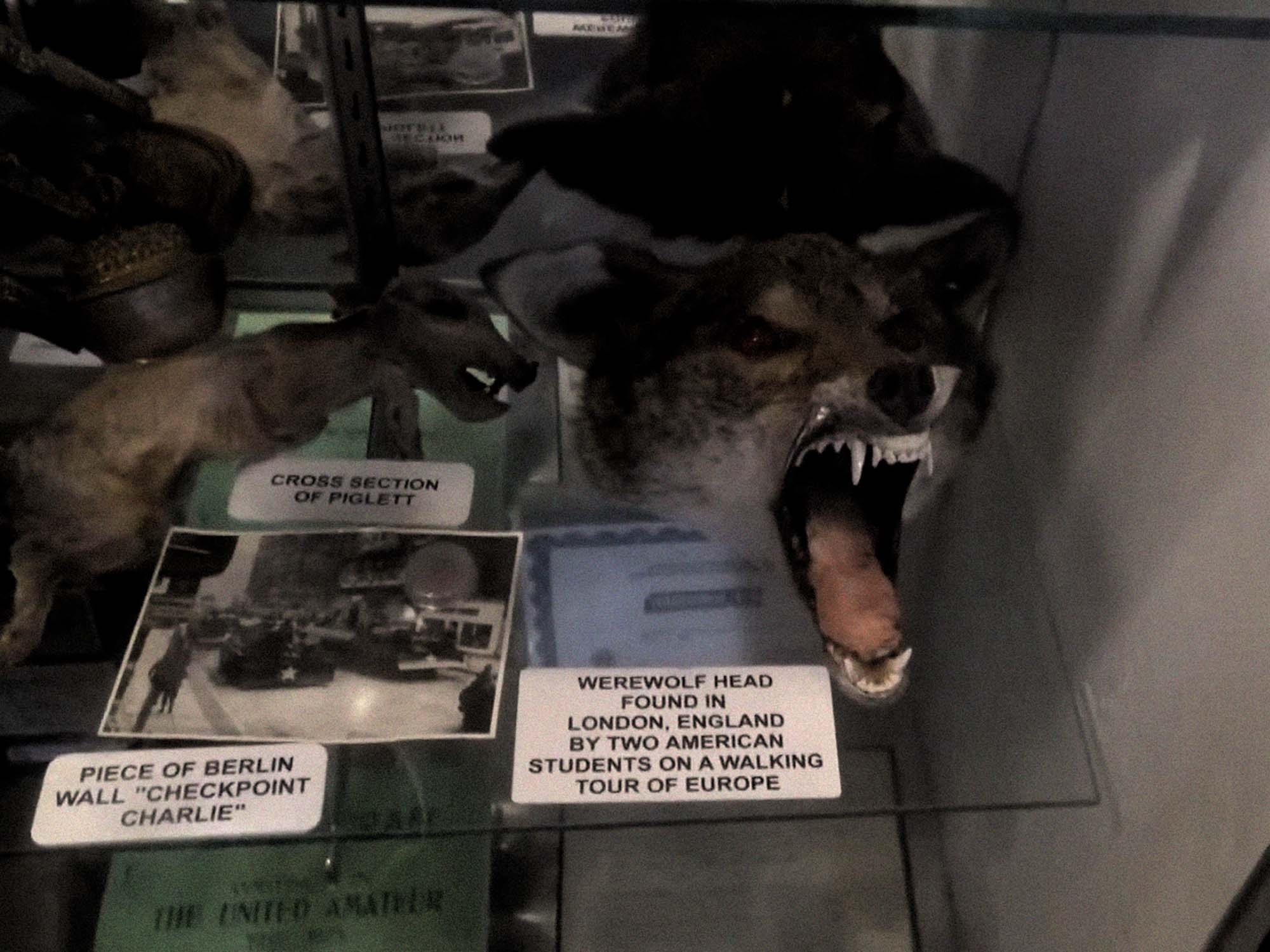 Museum of the Bizarre