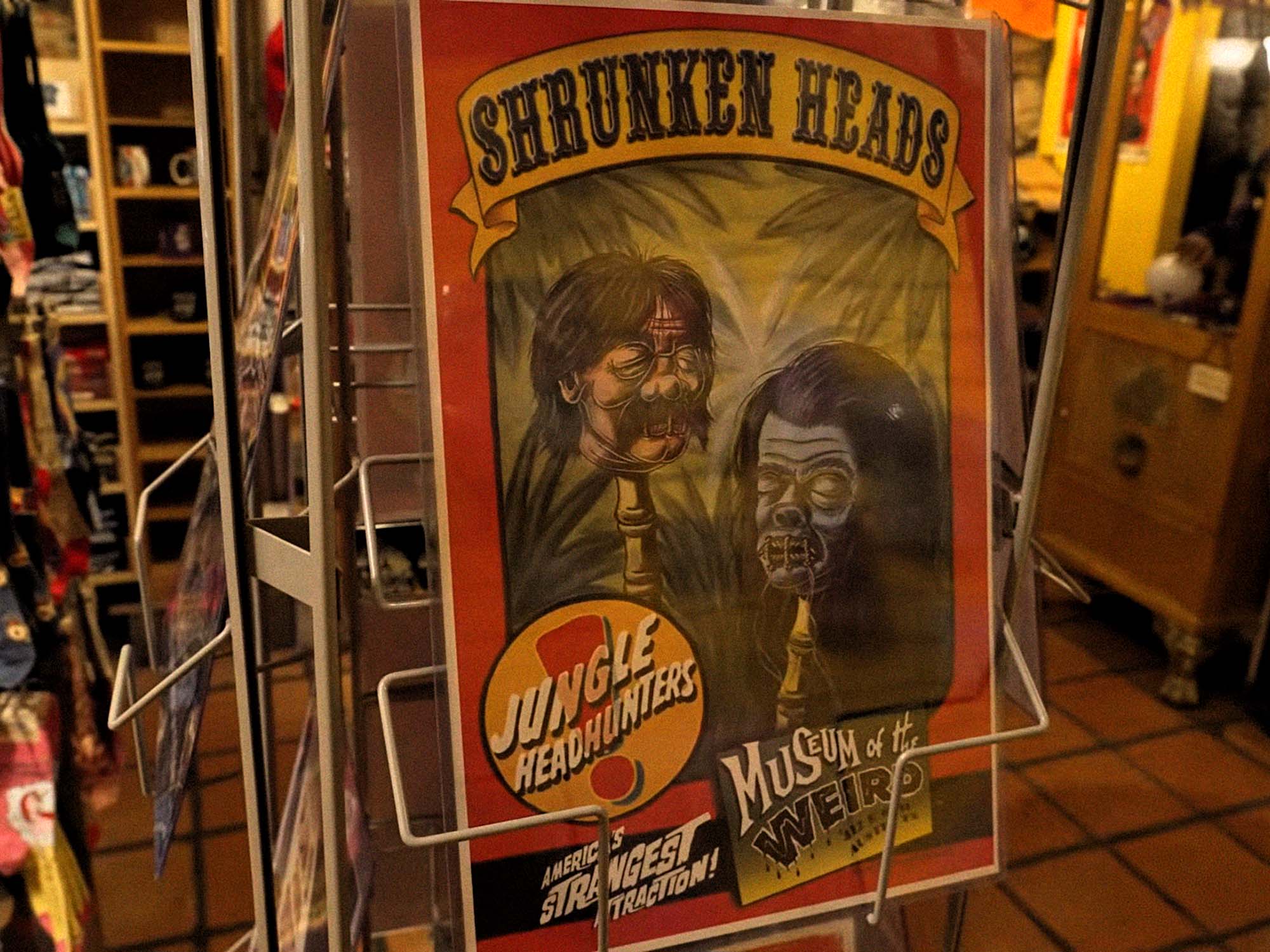 Museum of the Weird