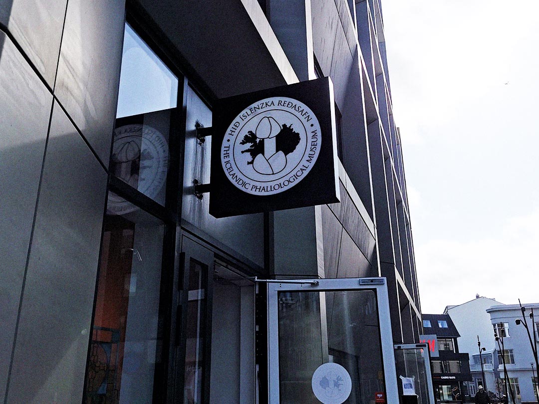 The Icelandic Phallological Museum gallery image 6