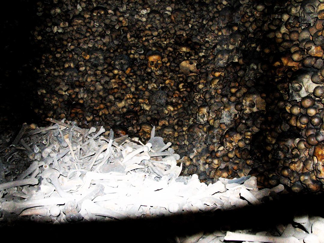 Stephansdom Crypt – The Catacombs of St. Stephen’s Cathedral