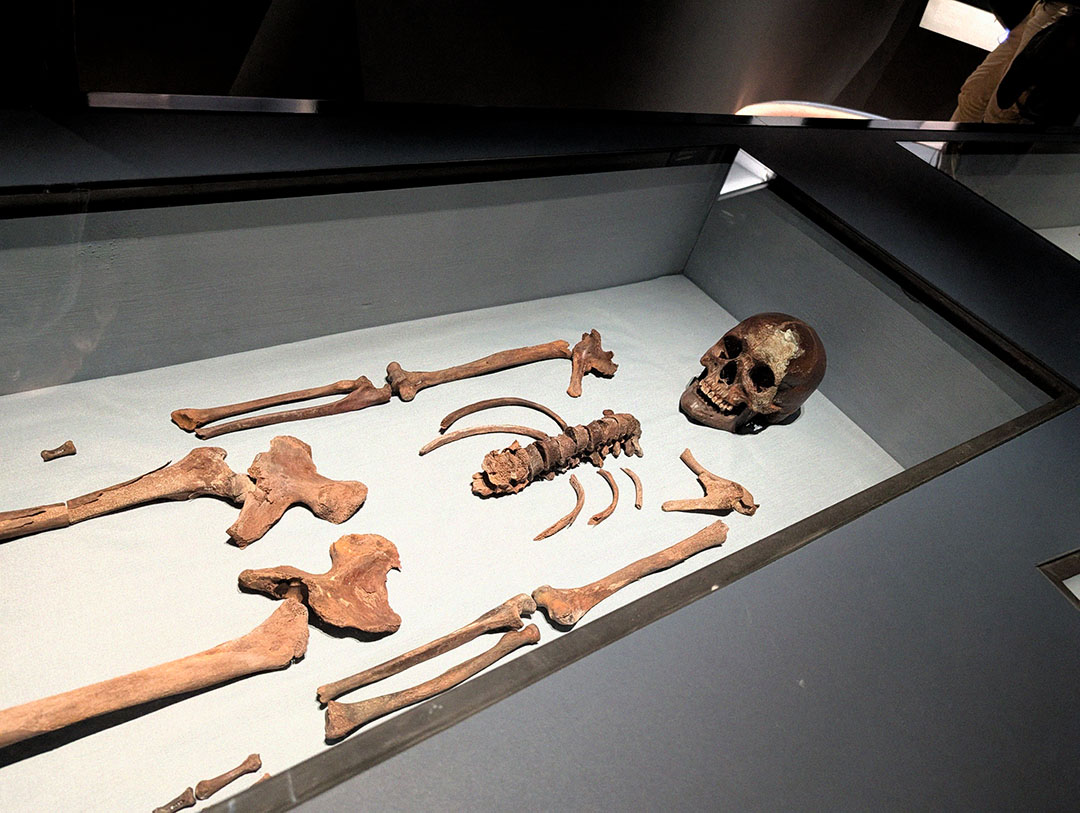 Vasa Museum gallery image 3