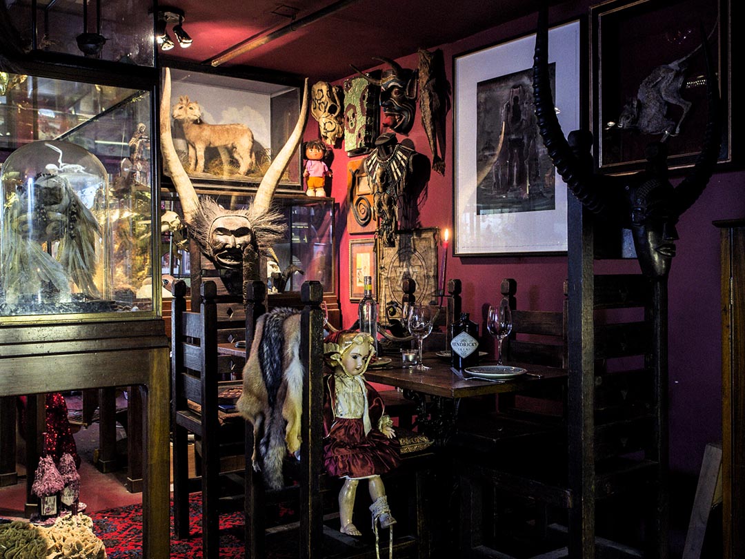 The Viktor Wynd Museum of Curiosities, Fine Art & UnNatural History