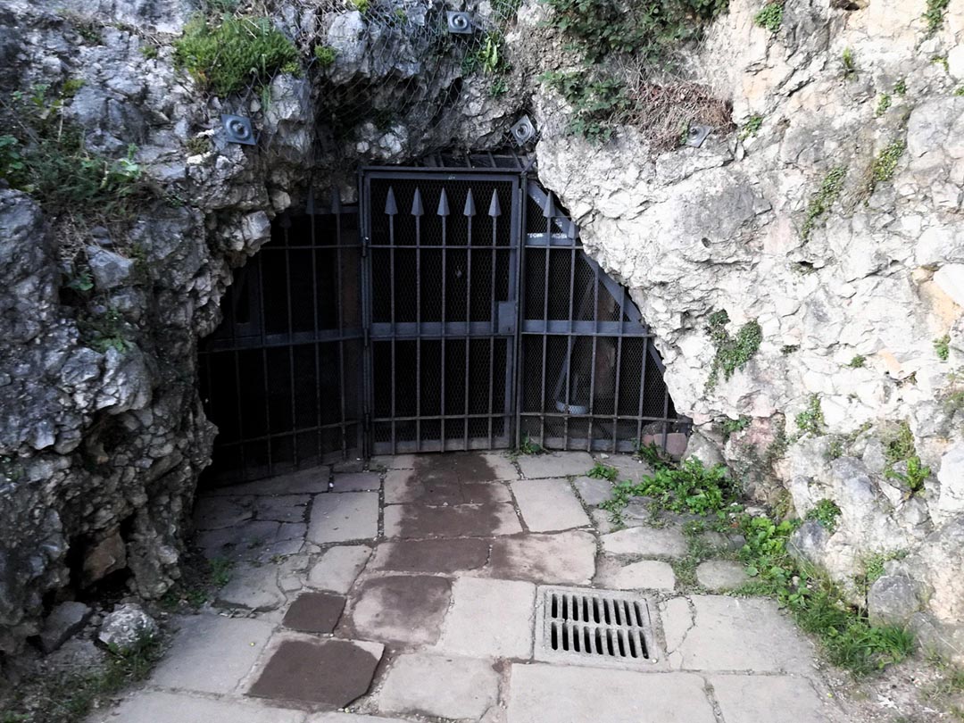 Wawel Dragon’s Den gallery image 5